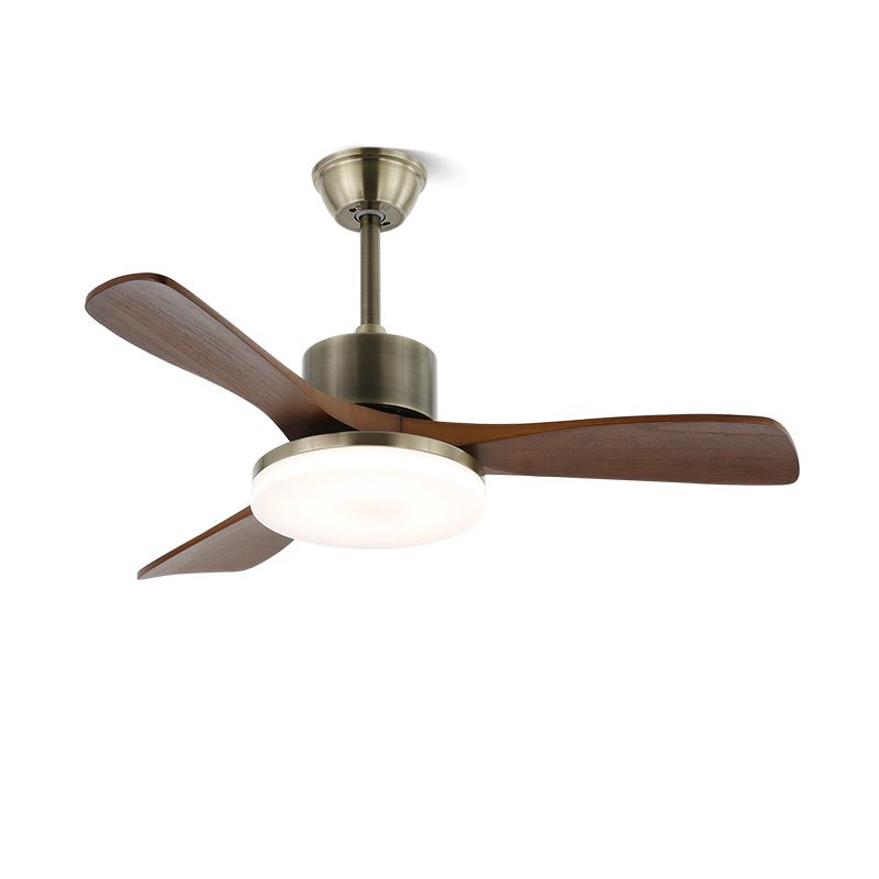 Zireva Ceiling Fan Light