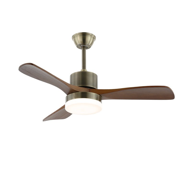 Zireva Ceiling Fan Light