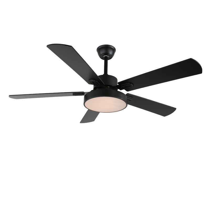 Baalius Ceiling Fan Light