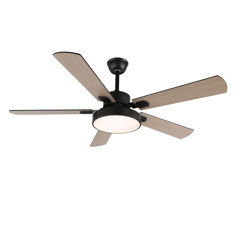 Baalius Ceiling Fan Light
