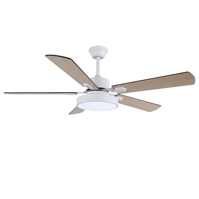 Baalius Ceiling Fan Light