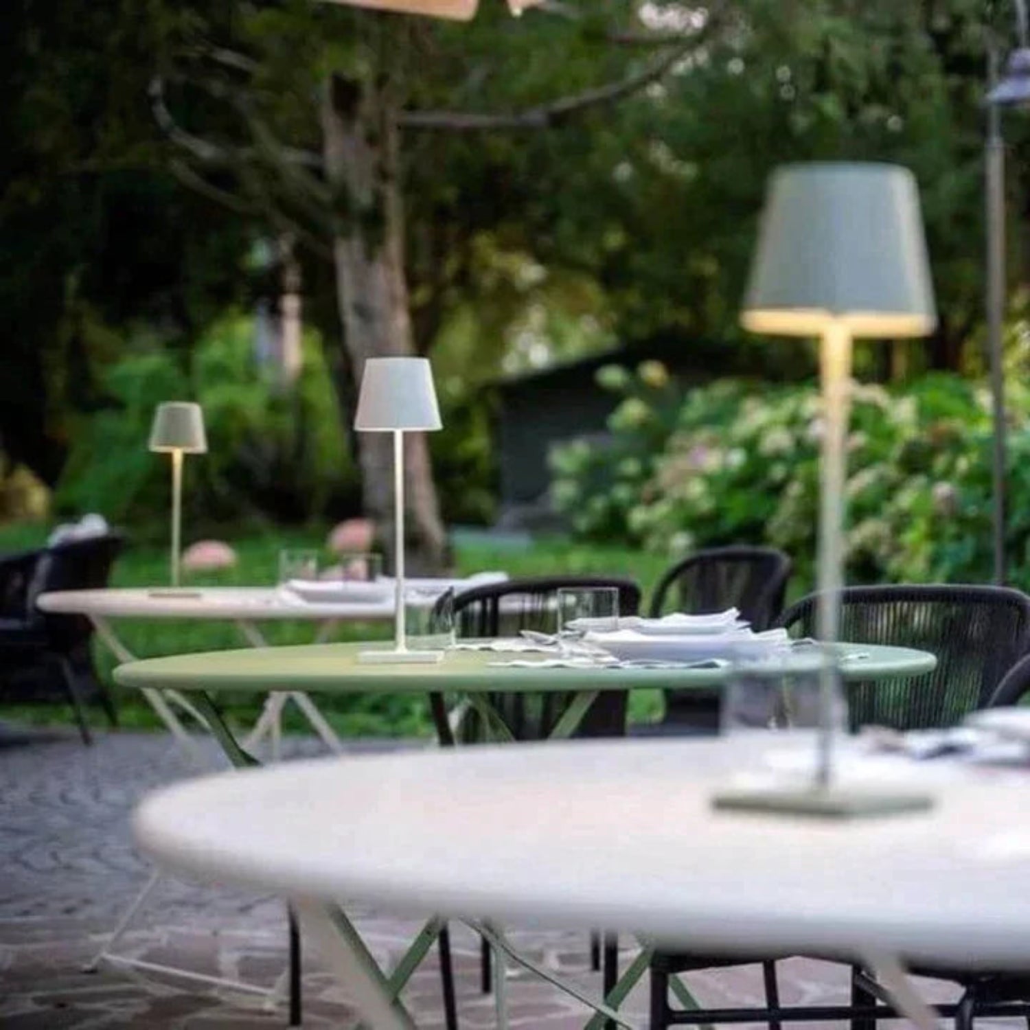 Colean Table Lamp