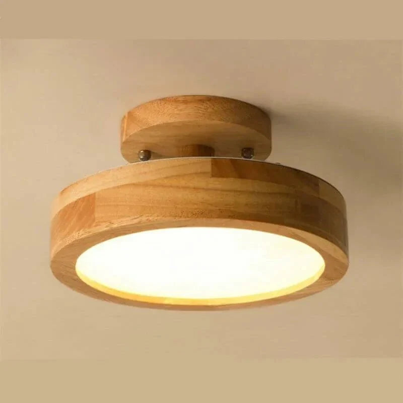 Pelezo Ceiling Light