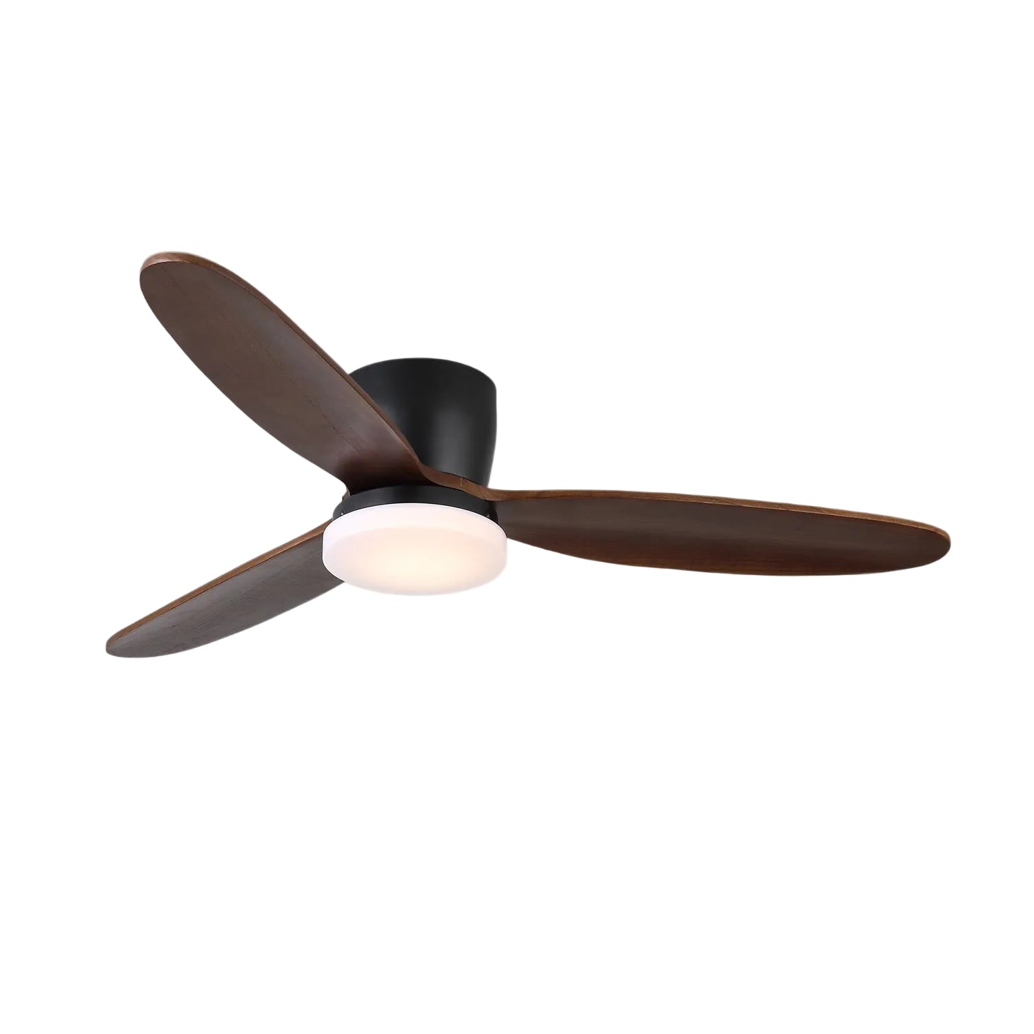 Norea Ceiling Fan Light