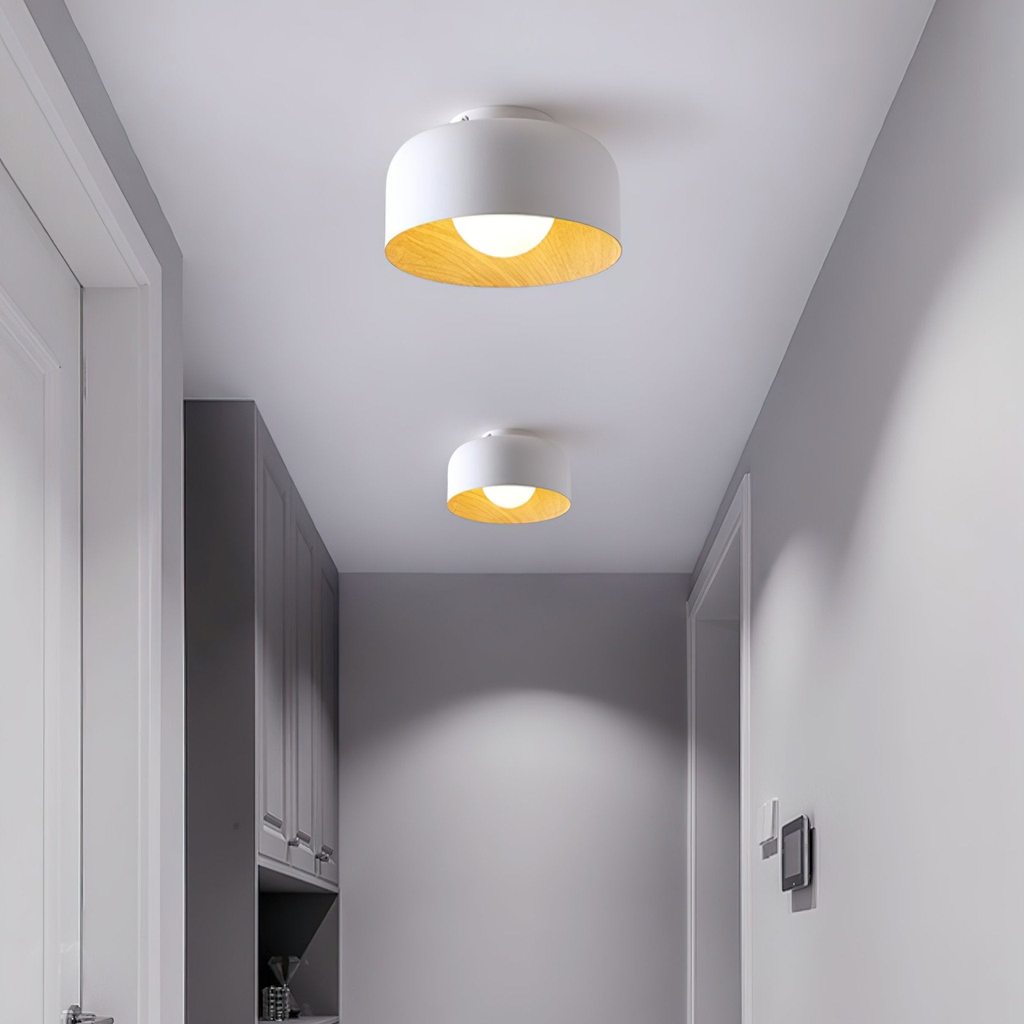 Belrosus Ceiling Light