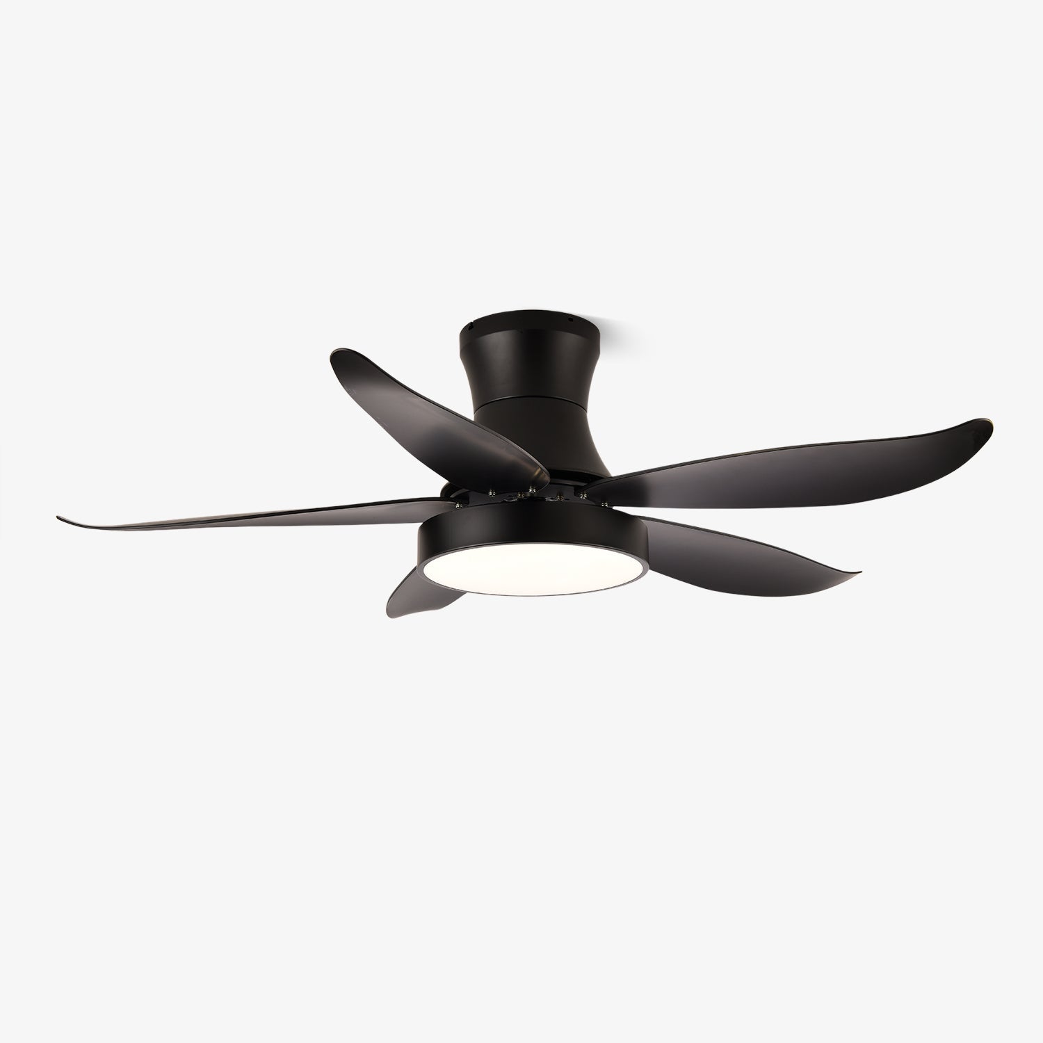 Rozin Modern Ceiling Fan Light