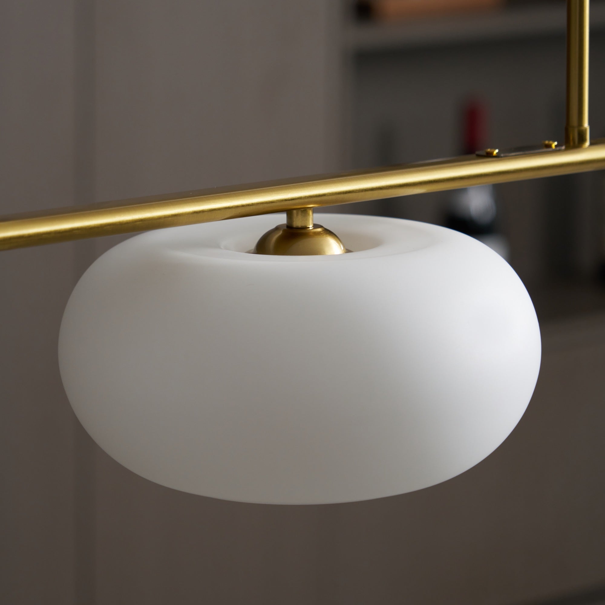 Lerenme Globe Pendant Light