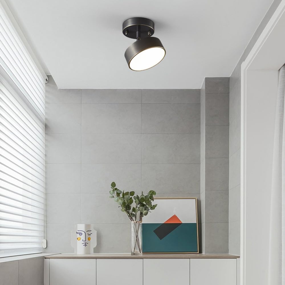 Nisao Ceiling Light