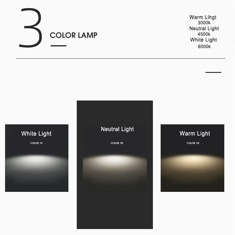 Loberiz Outdoor Ceiling Light