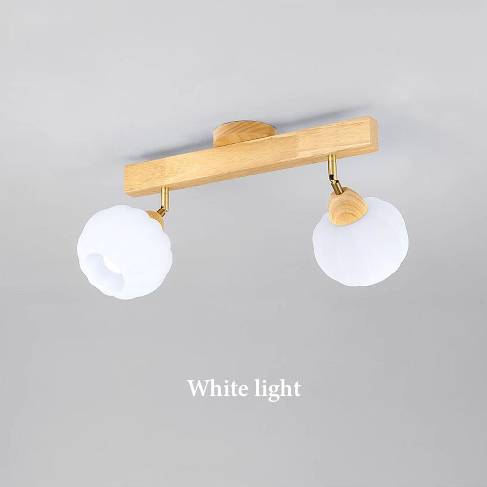 Zarim Ceiling Light