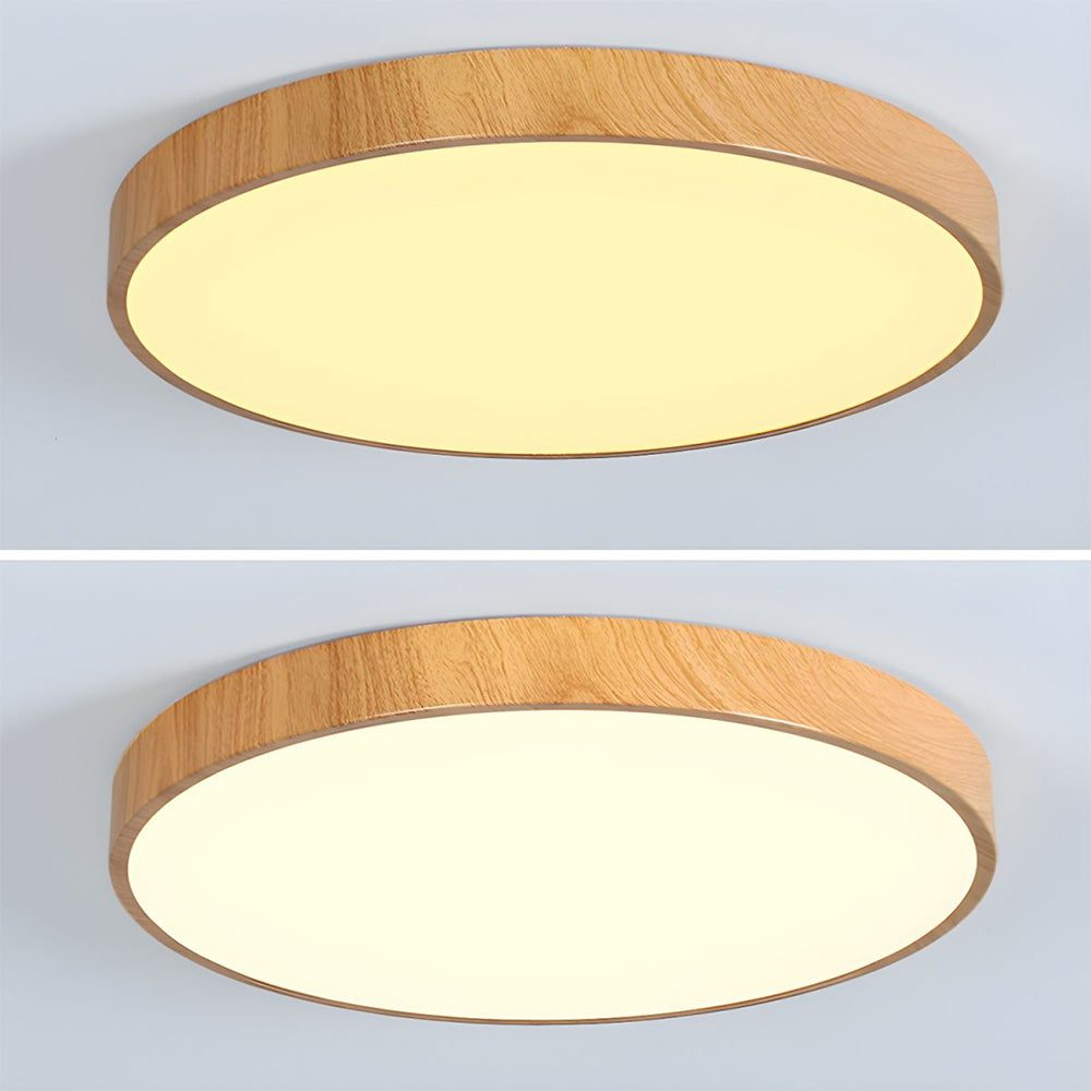Celnen Round Ceiling Light