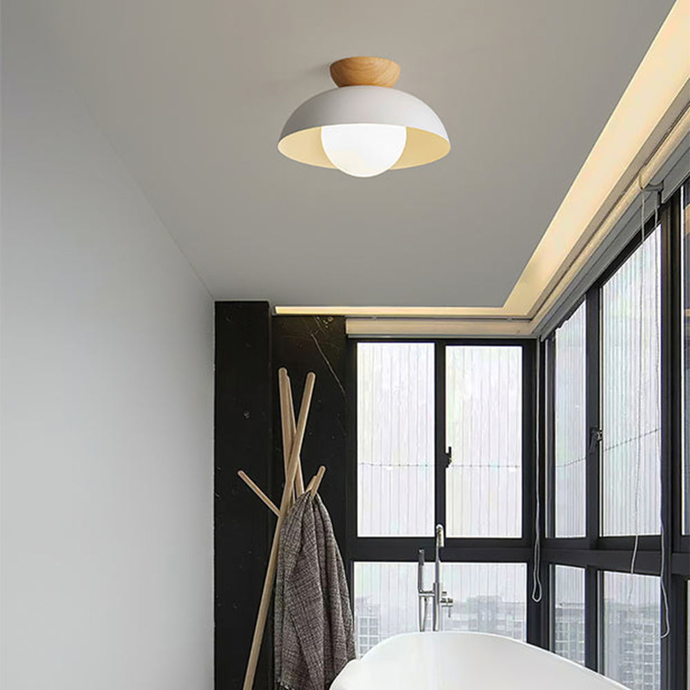 Trenton Ceiling Light