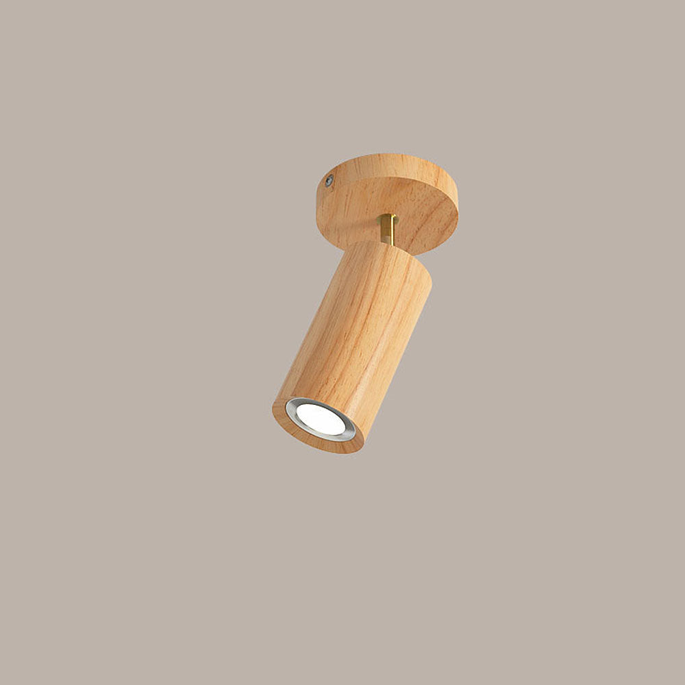 Karvo Ceiling Light