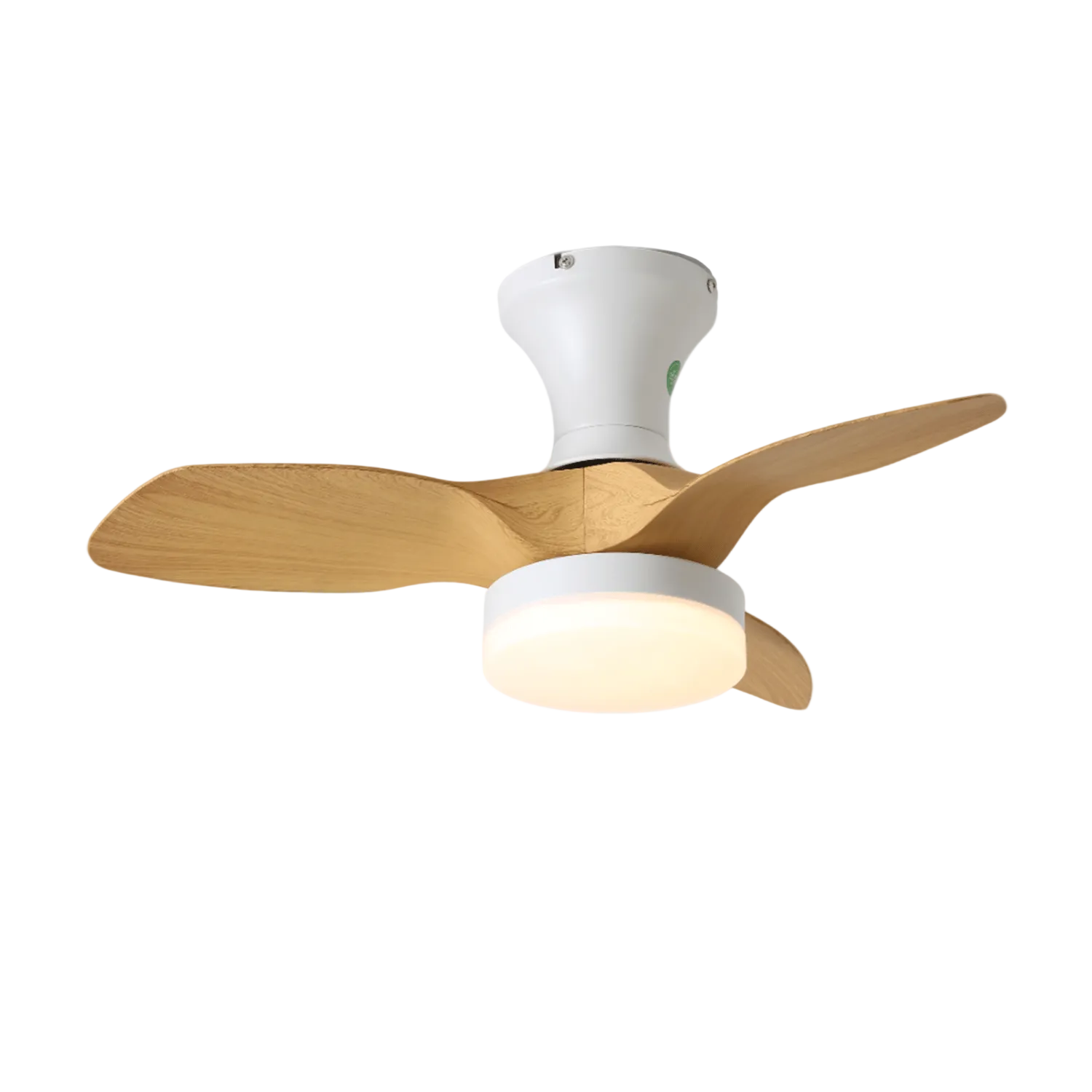 Avolin Ceiling Fan Light
