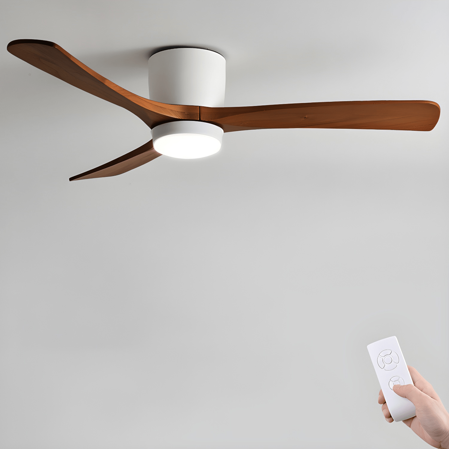 Evral Ceiling Fan