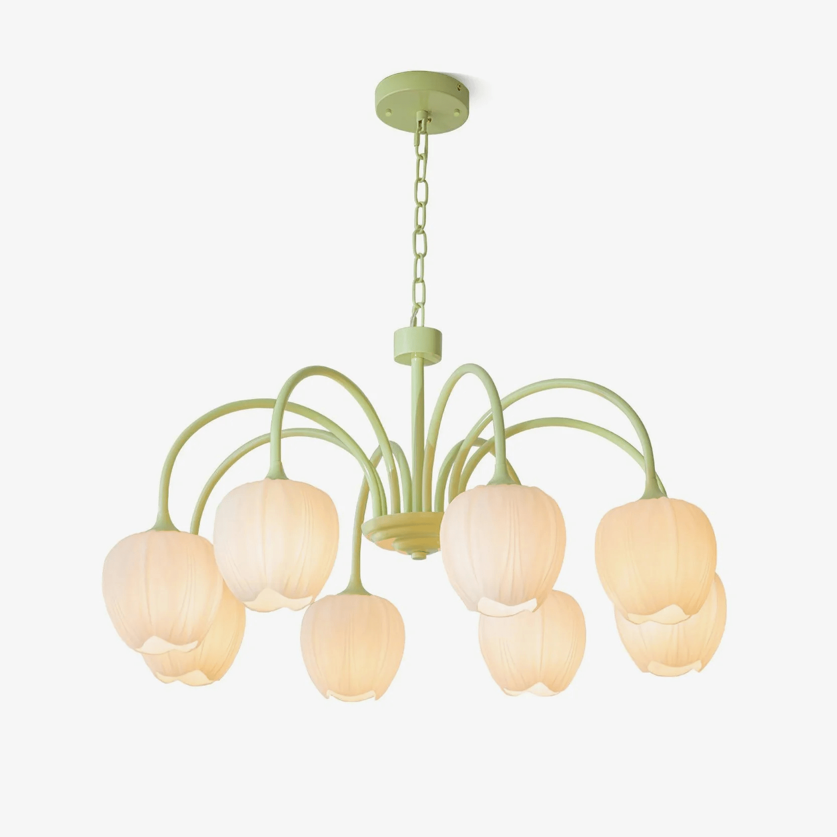 Alevovaor Tulip Chandelier