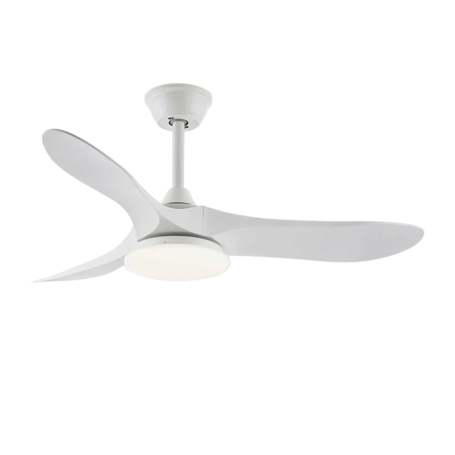 Elorian Ceiling Fan Light