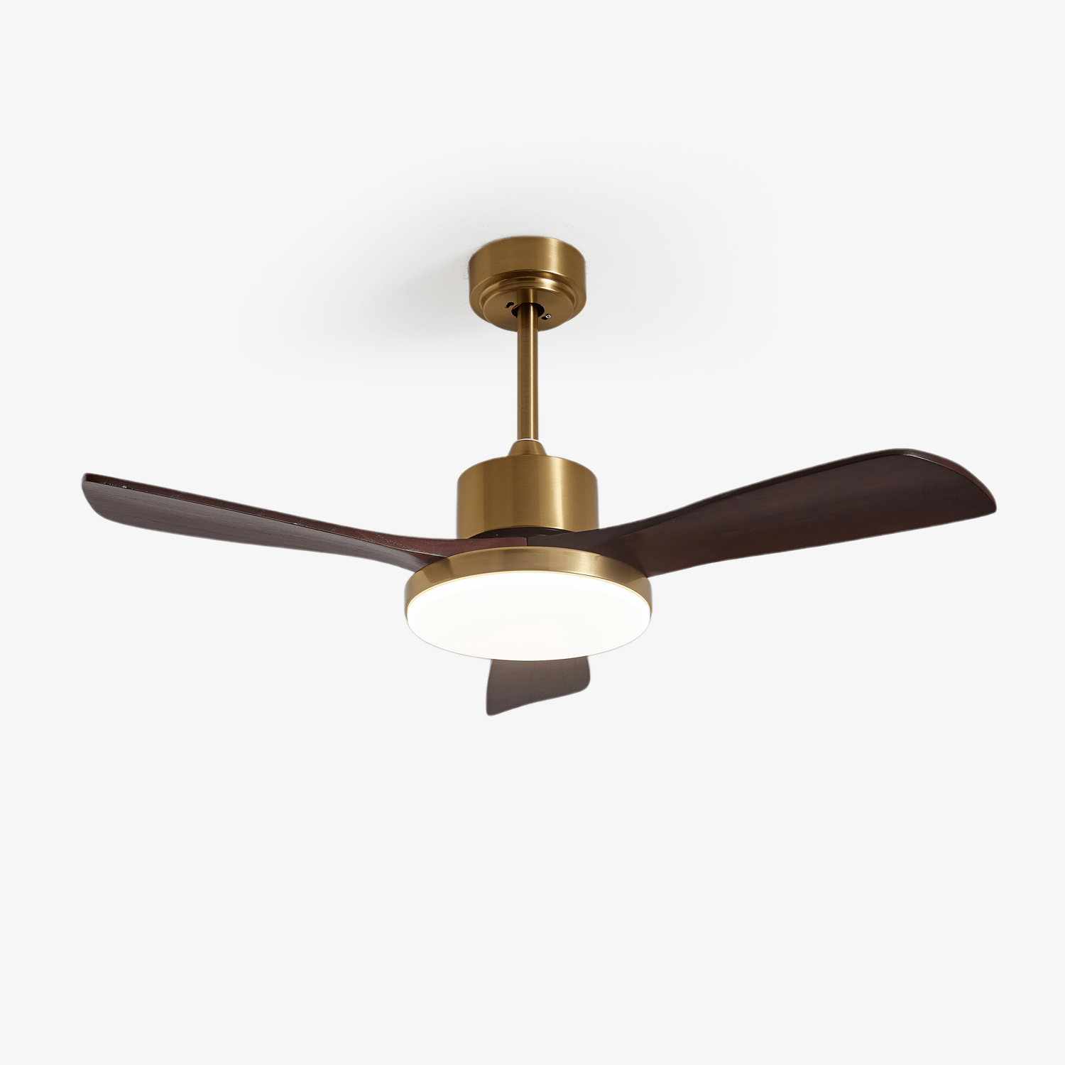 Eloria Ceiling Fan Light