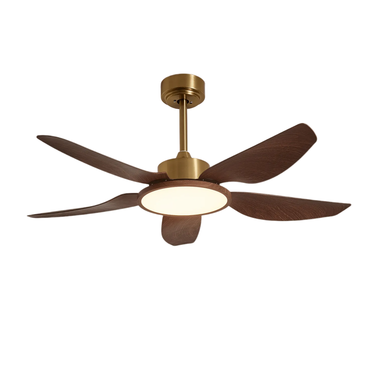 Amoro Ceiling Fan Light