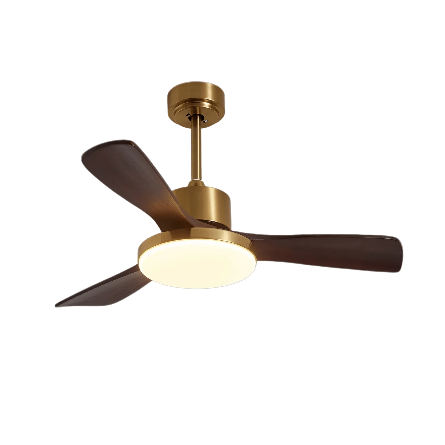 Eloria Ceiling Fan Light