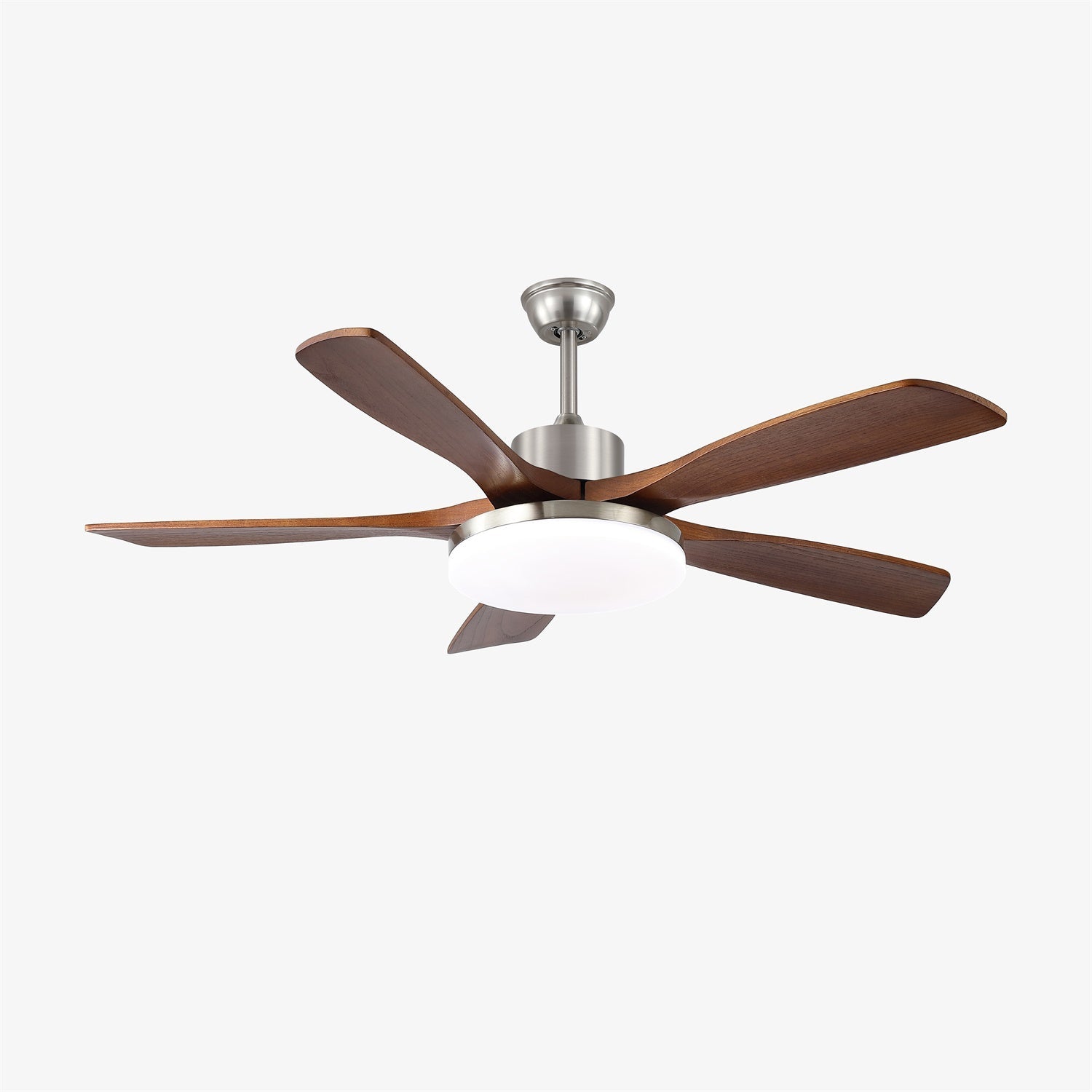 Lozya Ceiling Fan Light