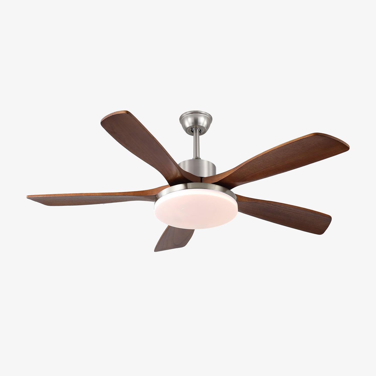 Lozya Ceiling Fan Light