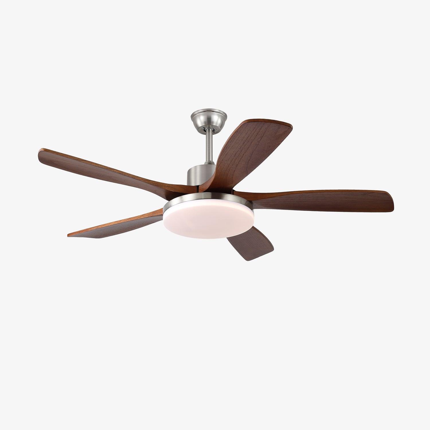 Lozya Ceiling Fan Light