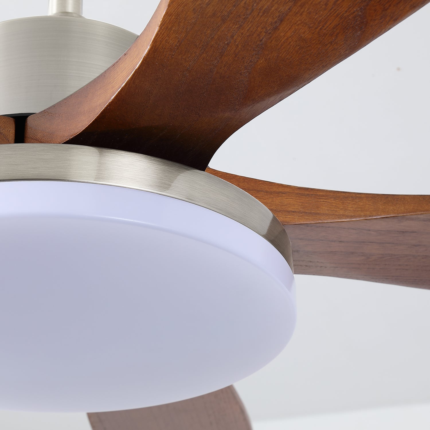 Lozya Ceiling Fan Light