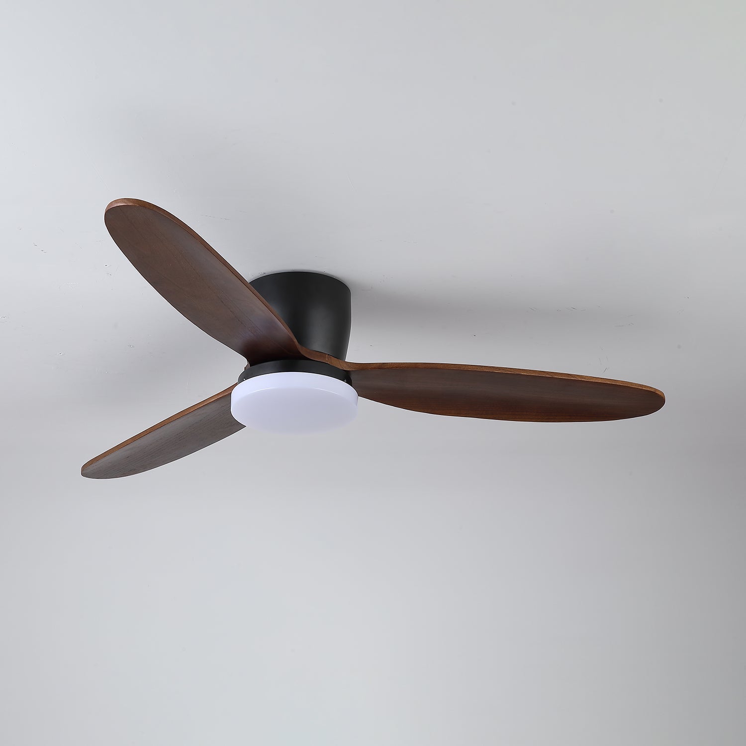 Norea Ceiling Fan Light