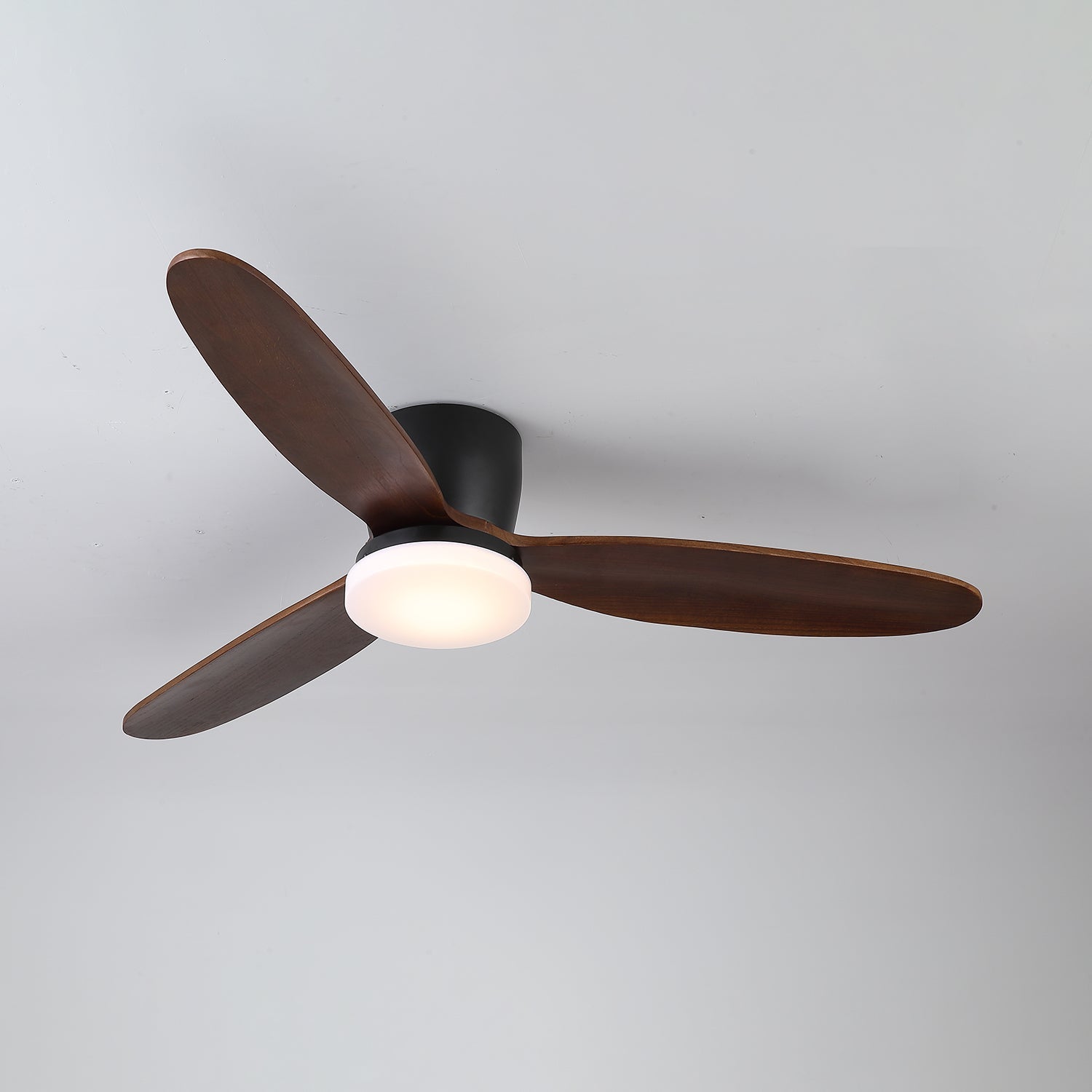 Norea Ceiling Fan Light