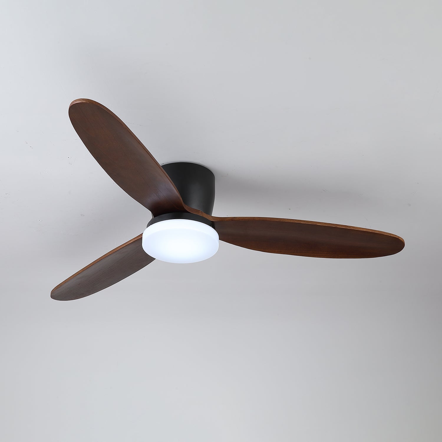 Norea Ceiling Fan Light