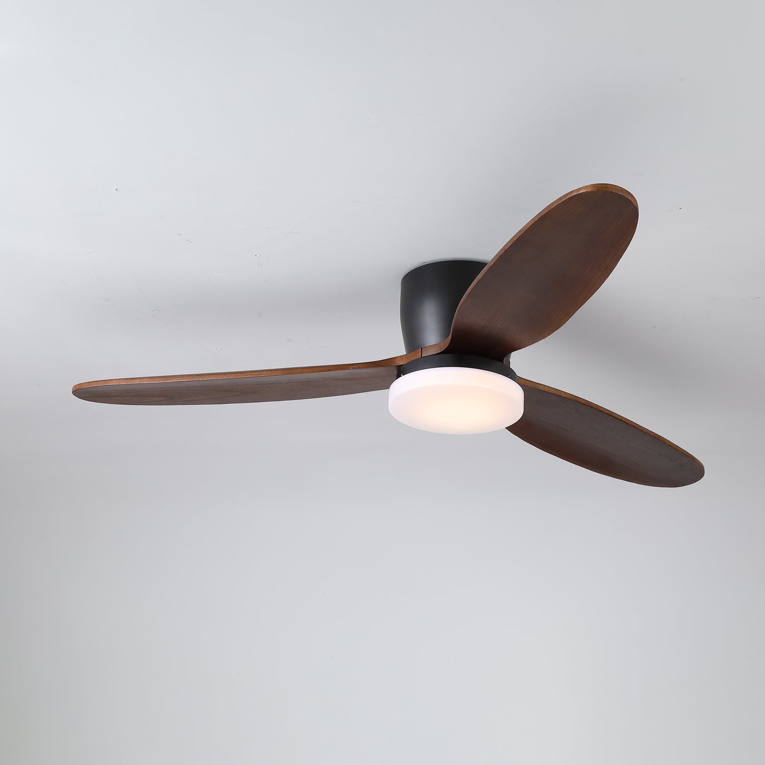 Norea Ceiling Fan Light