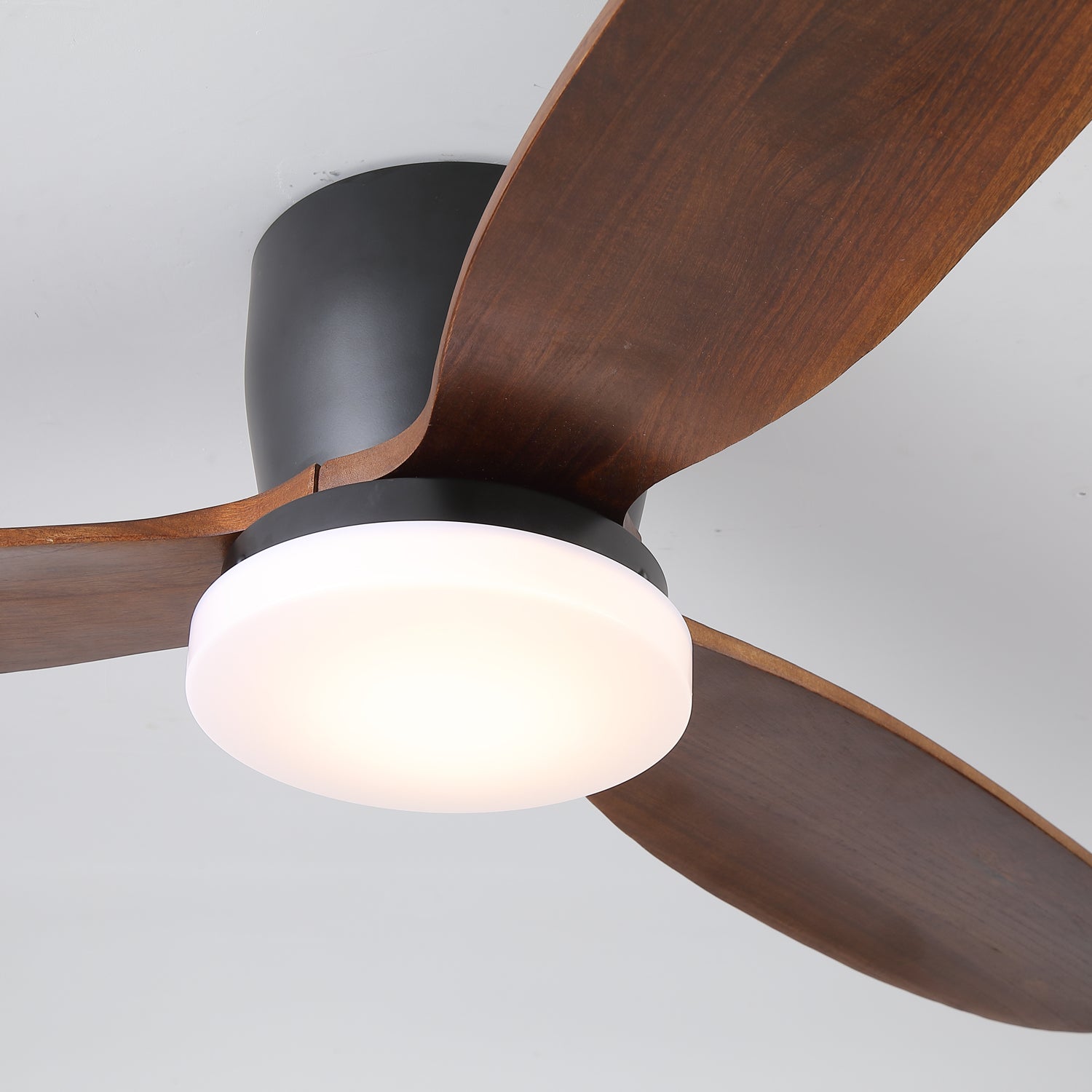 Norea Ceiling Fan Light