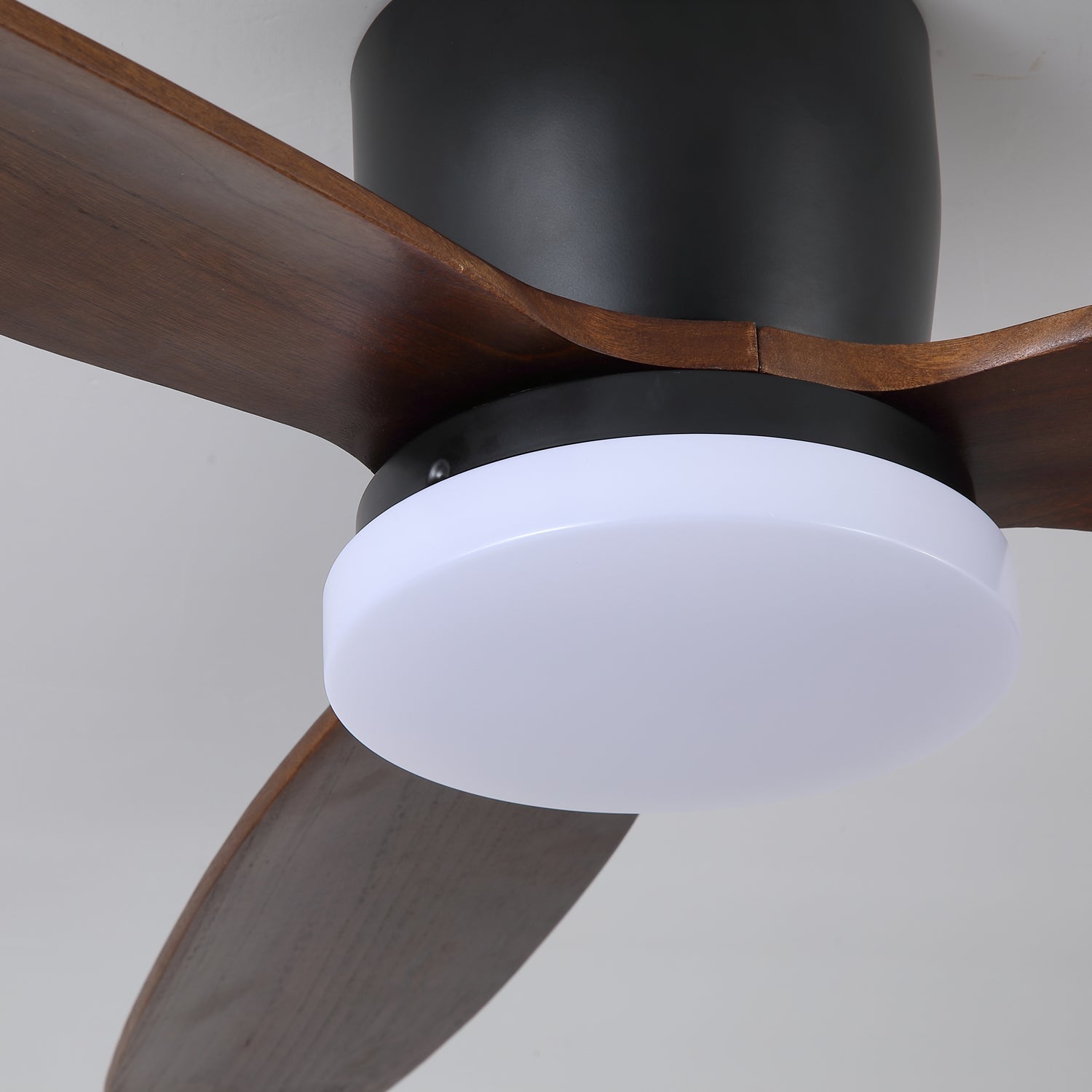 Norea Ceiling Fan Light
