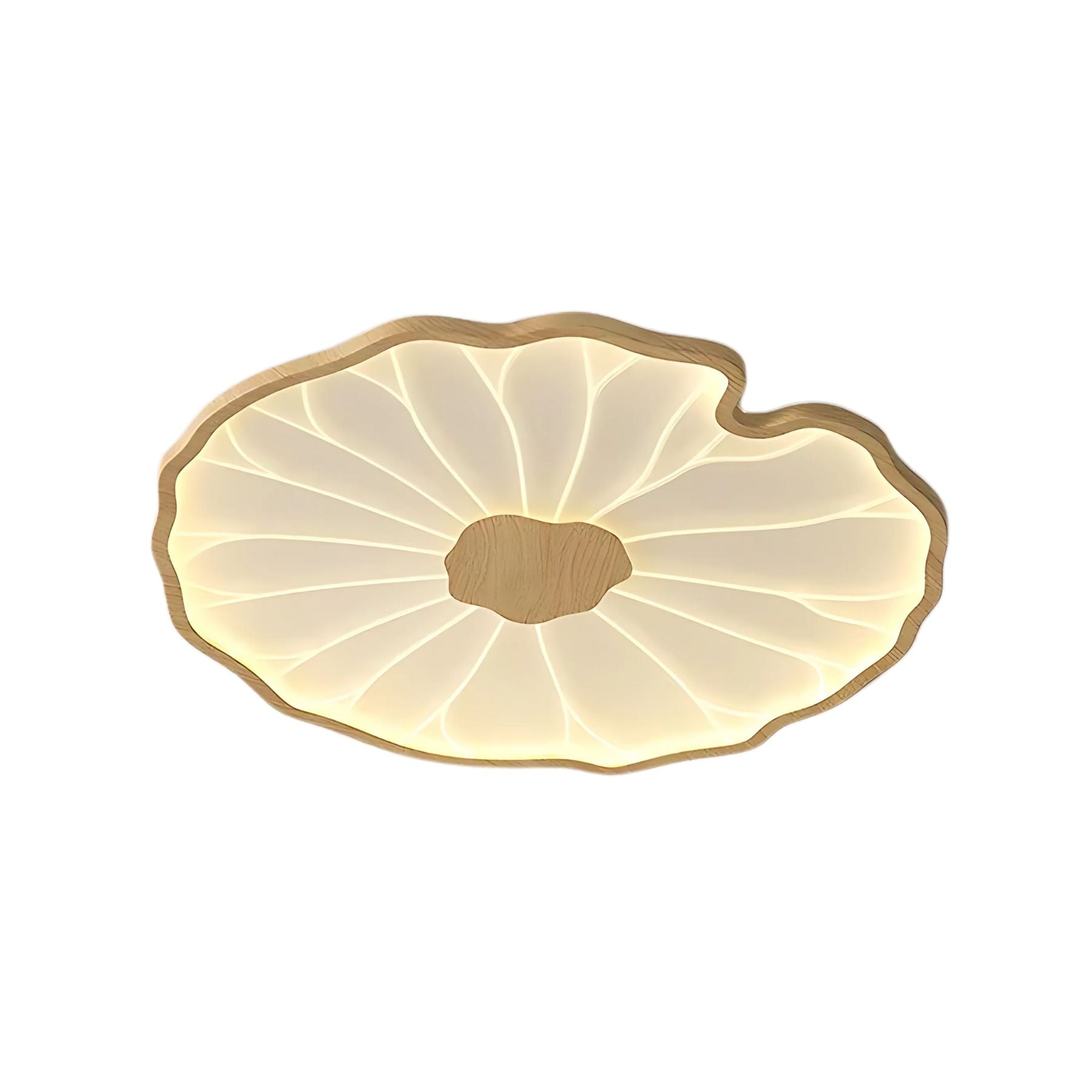 Moliru Leaf Ceiling Light