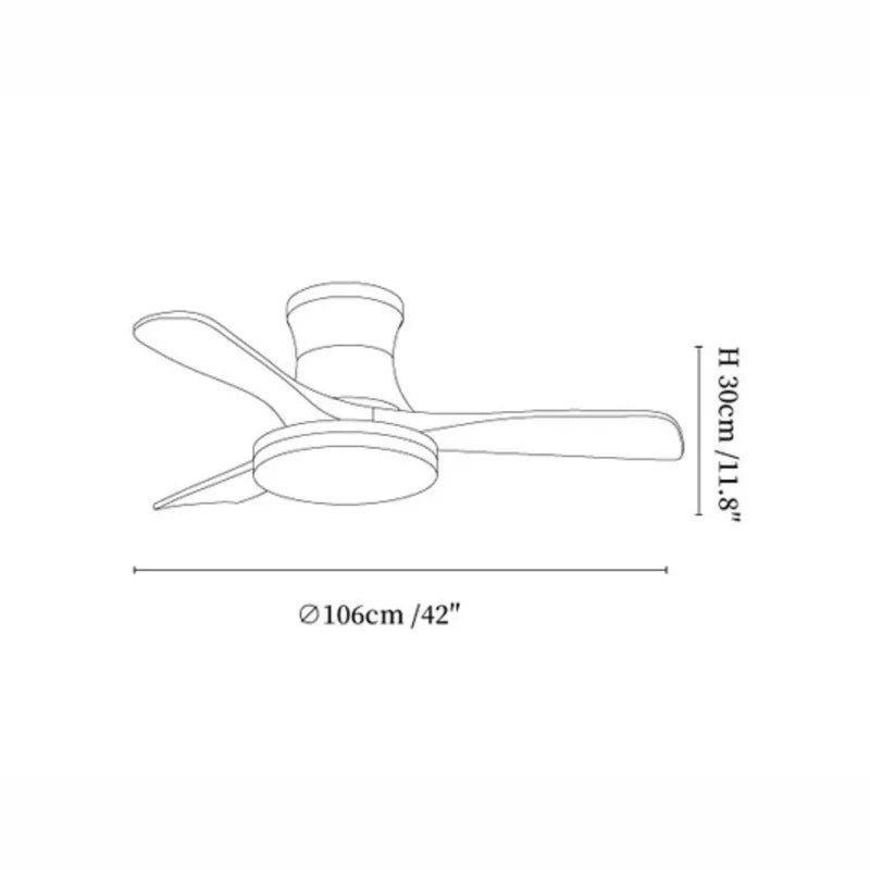 Arellian Ceiling Fan Light