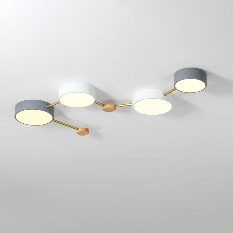 Leboza Minimalist Ceiling Light