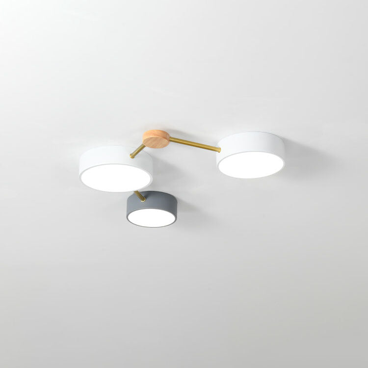 Leboza Minimalist Ceiling Light