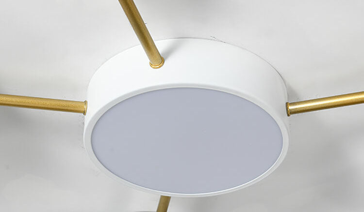 Leboza Minimalist Ceiling Light
