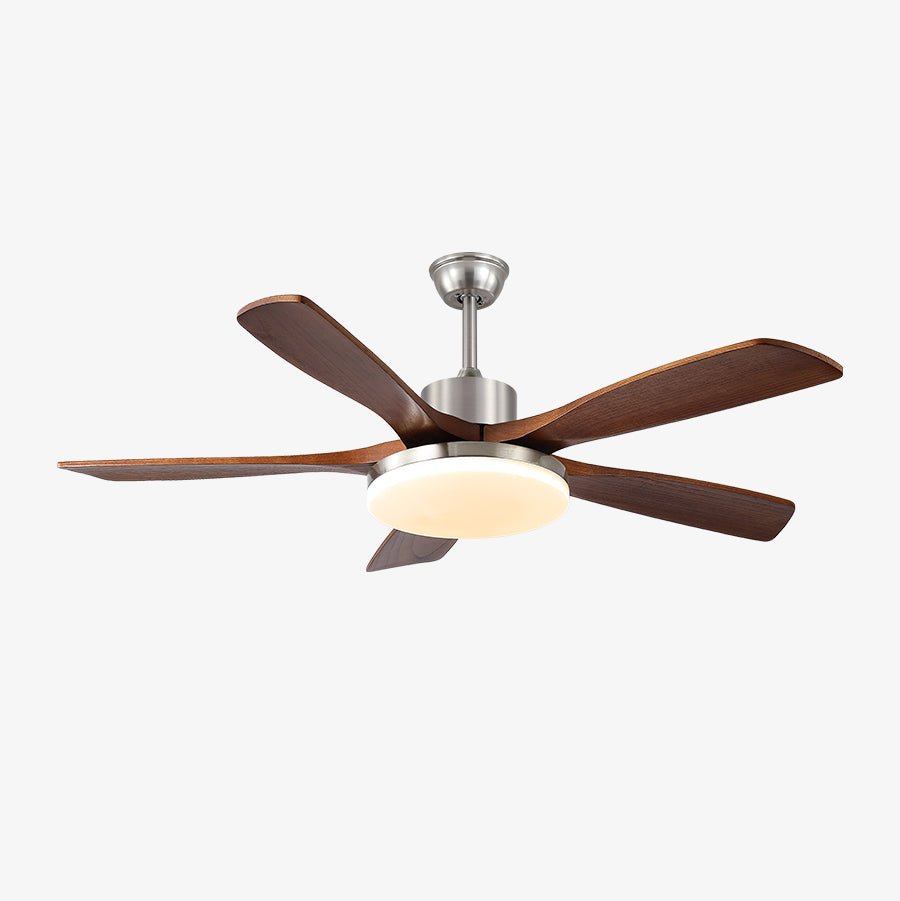 Lozya Ceiling Fan Light