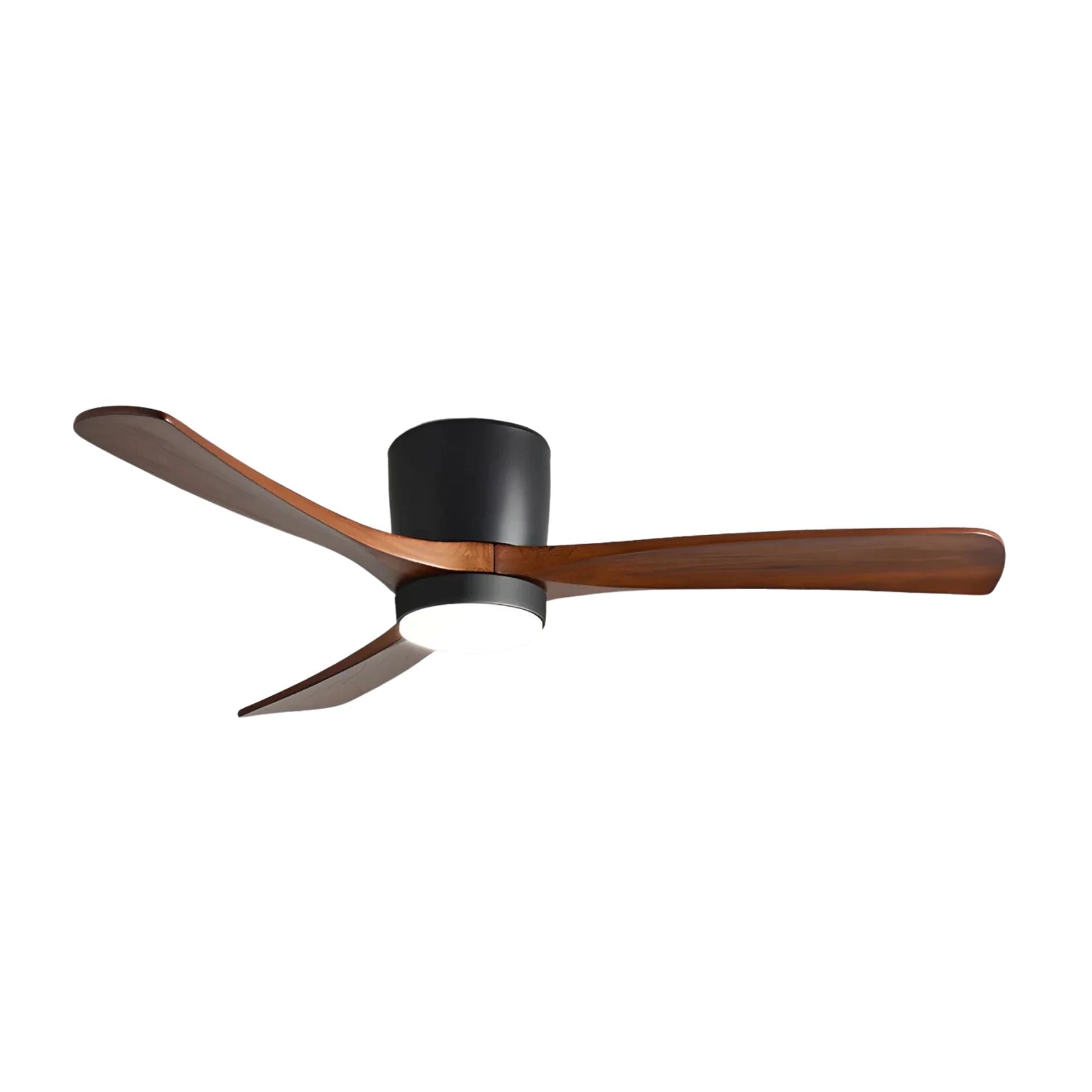 Evral Ceiling Fan