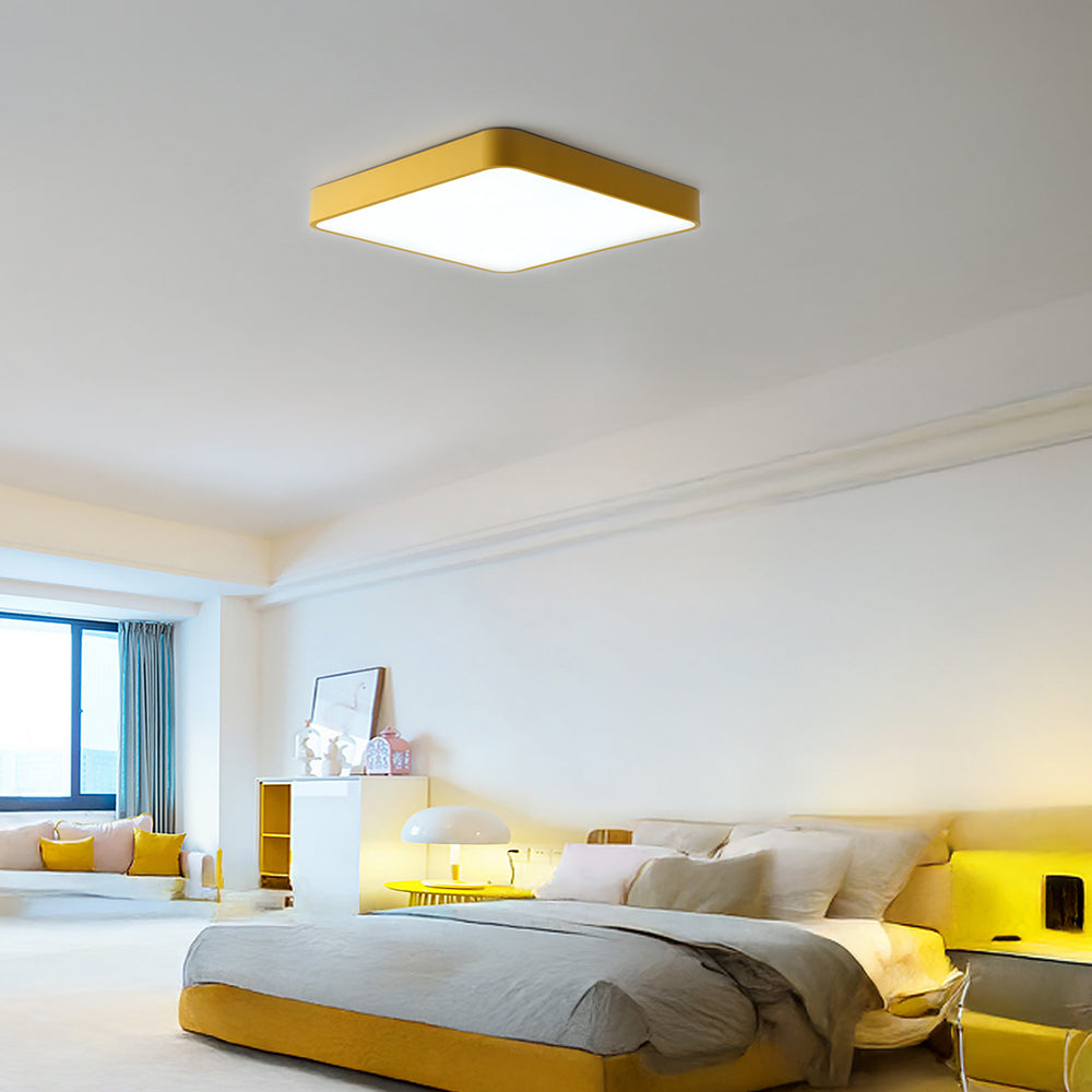 Colebon Round