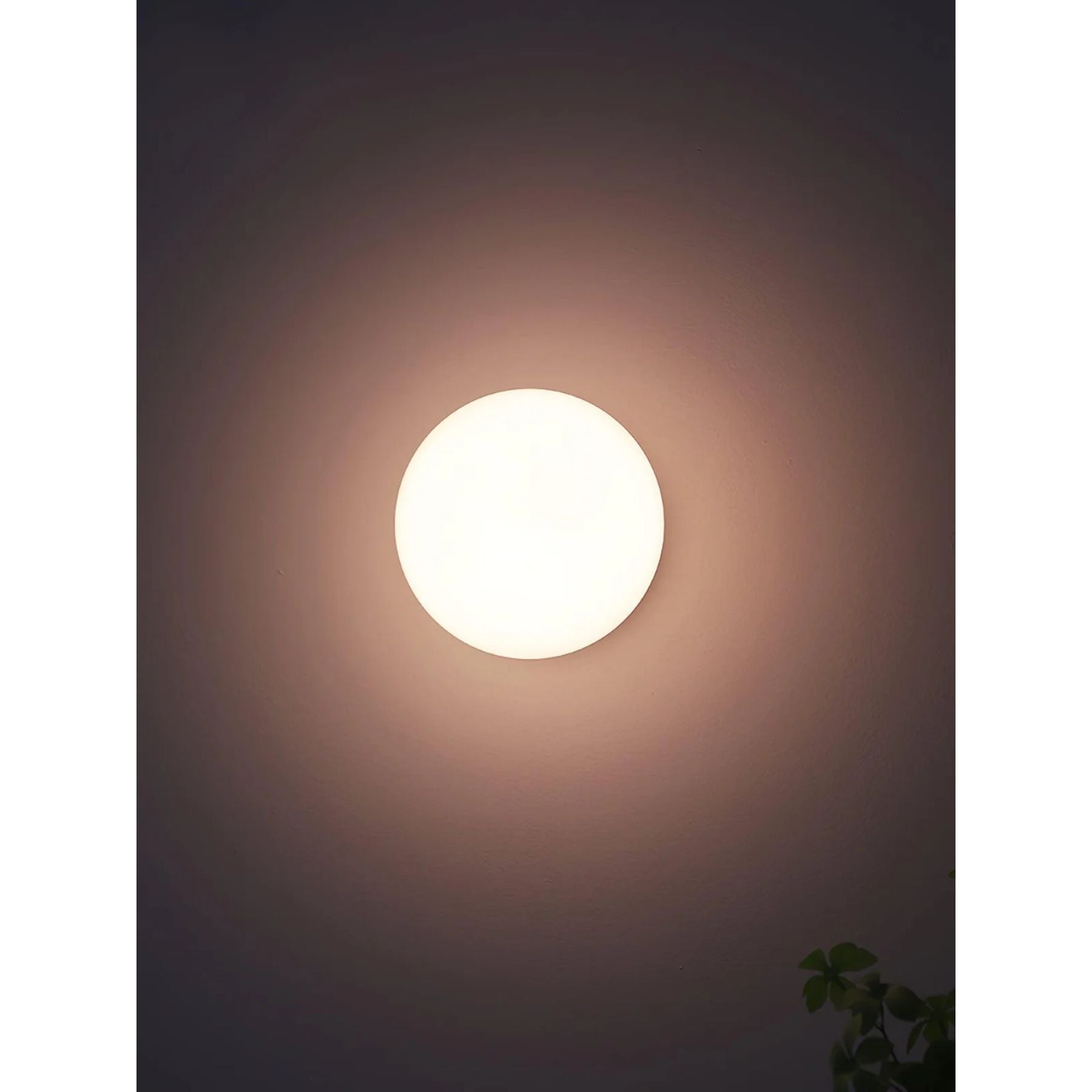 Silvon Wall Light