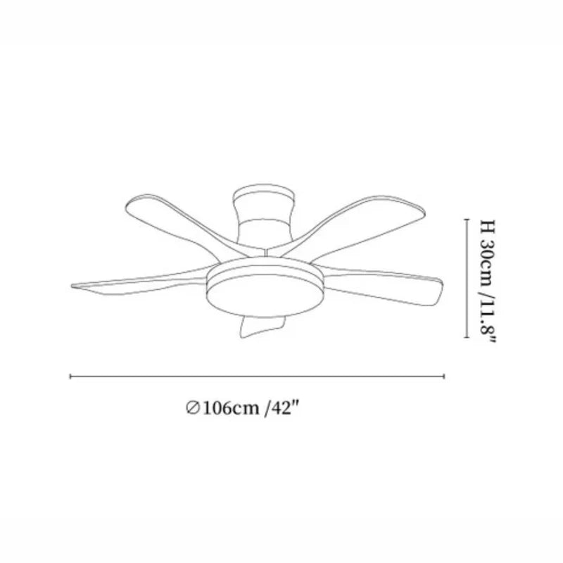 Arellian Ceiling Fan Light