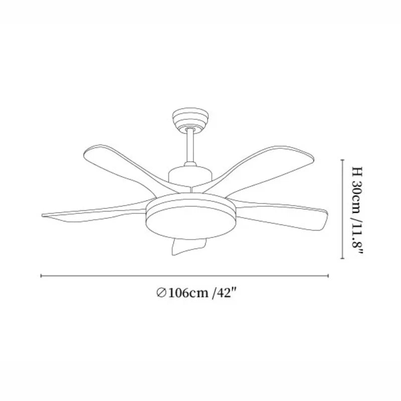 Arellian Ceiling Fan Light