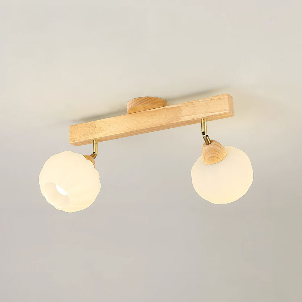 Zarim Ceiling Light