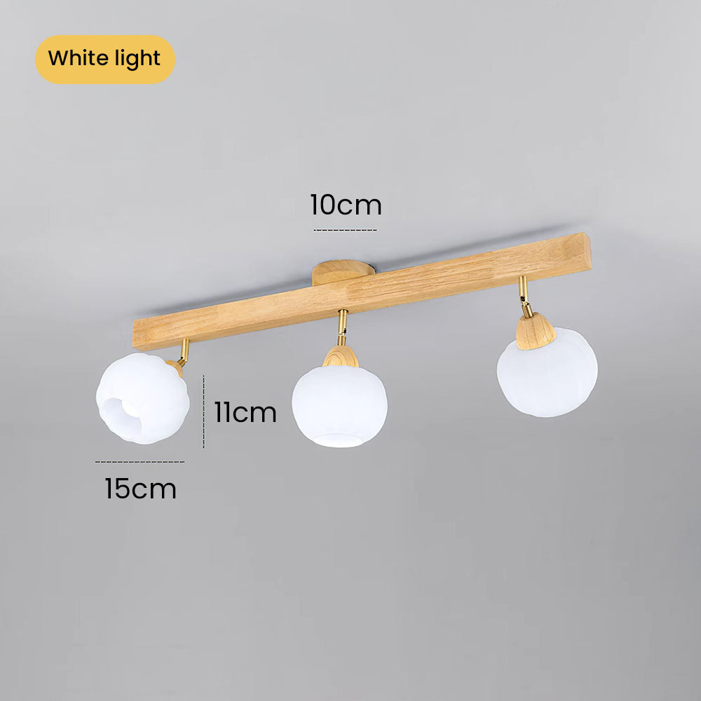 Zarim Ceiling Light