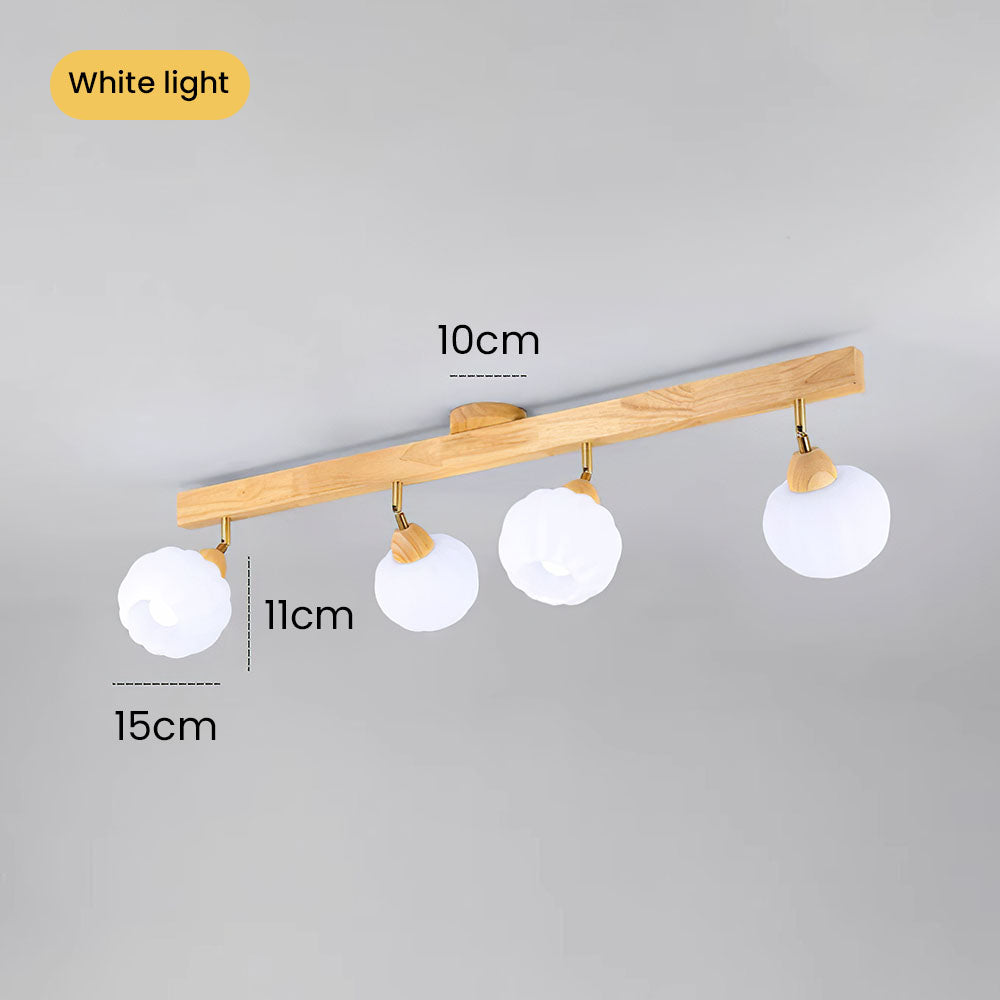 Zarim Ceiling Light