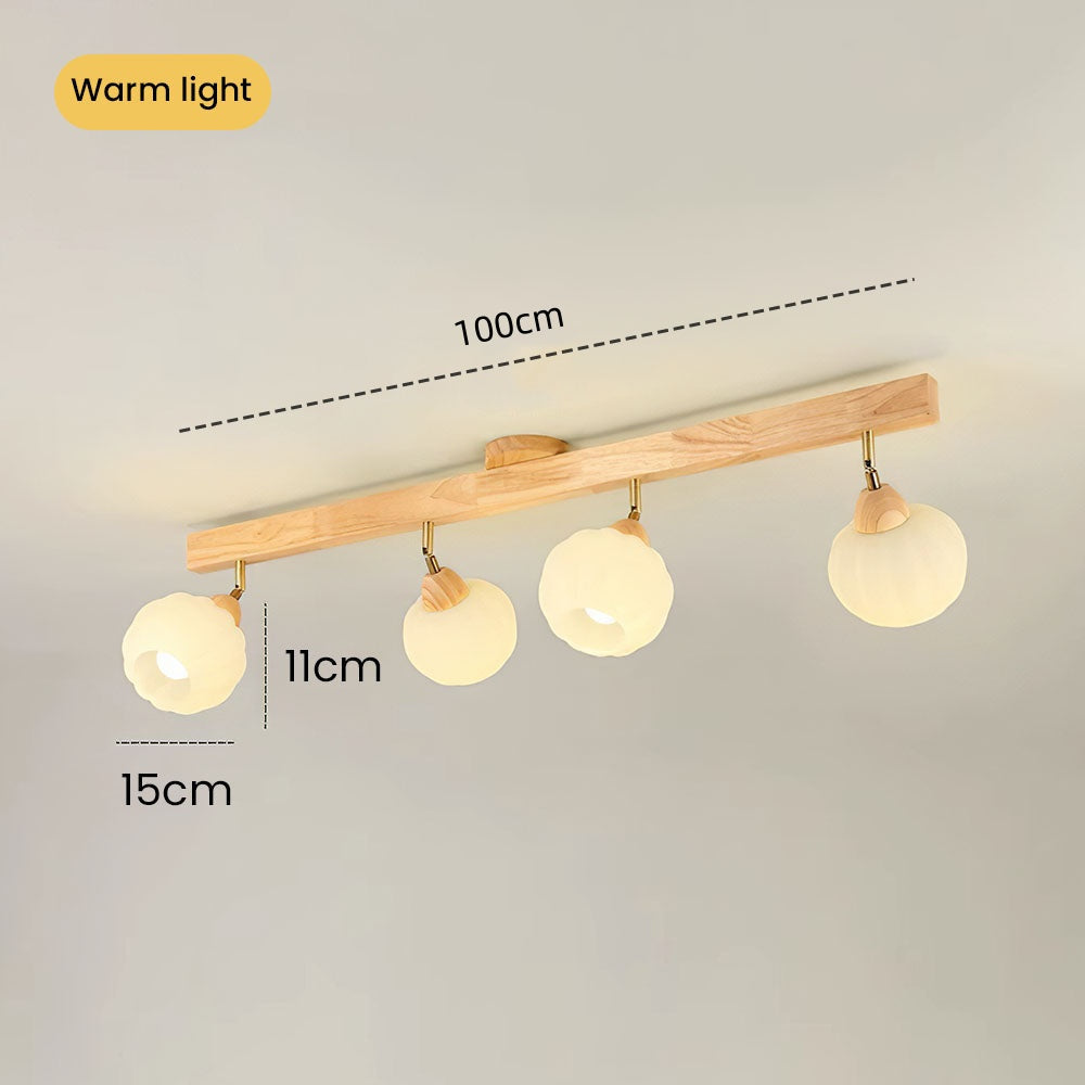 Zarim Ceiling Light