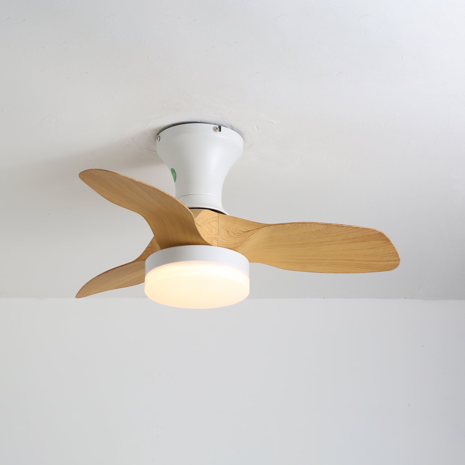 Avolin Ceiling Fan Light